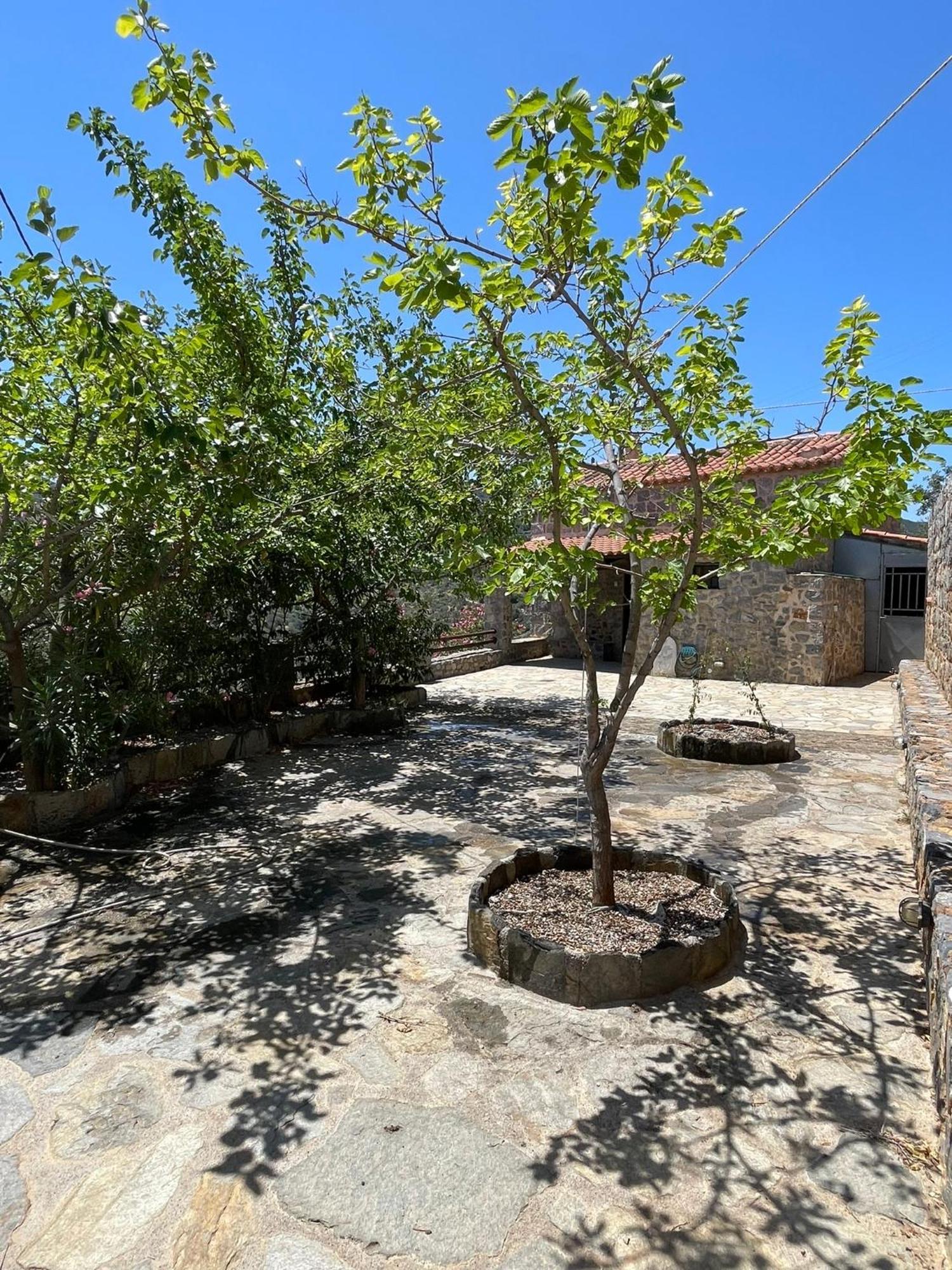 Guesthousekamara Monemvasía Екстериор снимка